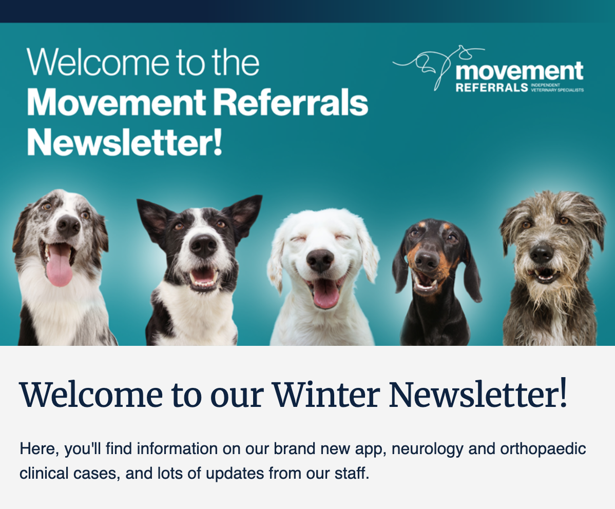Welcome to our Winter Newsletter!